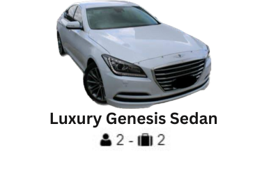 Luxury Business Sedan